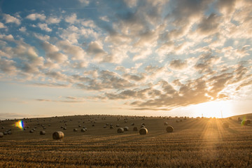 Fototapeta premium Straw bales are the beautiful scenery