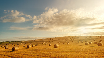 Straw bales are the beautiful scenery