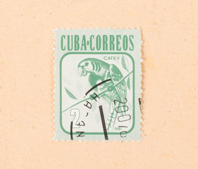 CUBA - CIRCA 1981: A stamp printed in Cuba shows a parrot, circa 1981