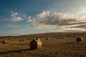 Straw bales are the beautiful scenery