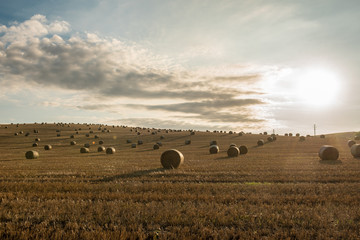 Straw bales are the beautiful scenery
