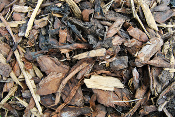 Mulch.Wood chips for landscaping in the gardens. Natural wood crumb.Ecological.
