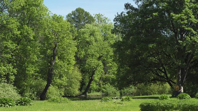 Romantic senior couple walking down path holding hands in scenic green park on windy spring day. Mature man and woman looking around and talking