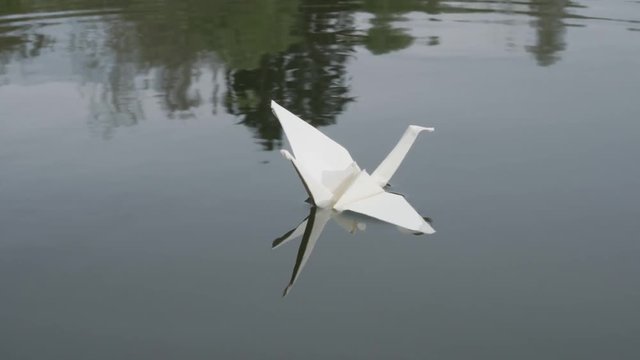 Putting origami swan to water surface, closeup of hand