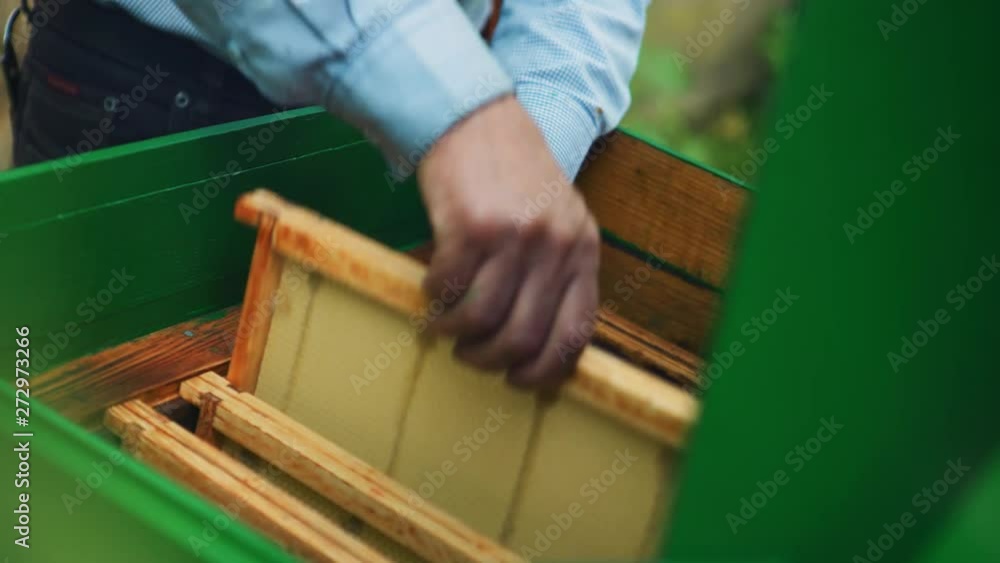 Poster beekeeper arranges the cleaned tables of a green beehive