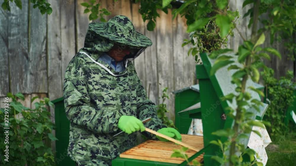 Aufkleber beekeeper opening apiary with tool and pulling out honeycomb. beekeeper checking for honey. honeybee