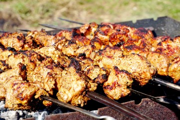 Preparing pork shashlik on the charcoal mangal. Pork grill, Pork shashlik. Marinated shashlik preparing on a barbecue grill over charcoal        
