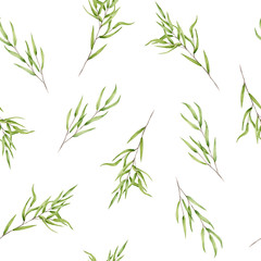 Seamless pattern of watercolor sprigs of eucalyptus nicholii. Isolated hand painted green leaves on white perfect for card making, wallpaper, design and fabric textile. Illustration