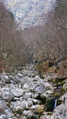 The picturesque park near Savica waterfall. Winter forest landscape