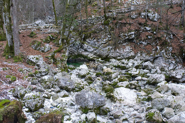 The picturesque park near Savica waterfall. Winter forest landscape