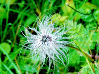 Val Badia, Italy - 06/08/2019: An amazing caption of the dolomites from Trento Italy in summer days with some people enjoying the day. Beautiful background in black and white.