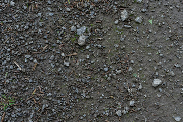 small sharp rocks in dirty mud ground texture with small wooden sticks
