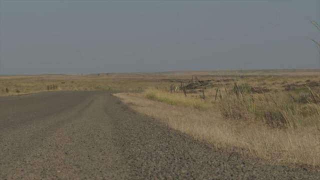 dry desert rocky grassland landscape. chip seal road with grass moving in the wind