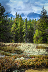 Obraz premium Jackman Flats Provincial Park, Route 5, BC, Canada
