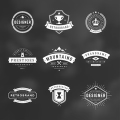 Retro vintage badges and logos set vector design elements