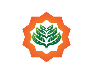 Leaf Green Nature logo and symbol template Vector