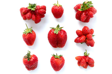 Ugly strawberries on white background.