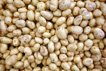 Fresh Organic Vegetable Food Potato