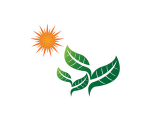 Leaf Green Nature logo and symbol template Vector