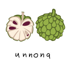 Fresh fruits set Vector Illustration. Colorful image Custard Apple (Annona)