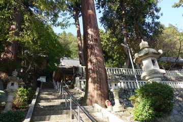 滋賀県長浜市高月町にある赤後寺（日吉神社）の境内の風景です
