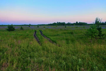 Fototapeta premium Track road on green grass field Natural background. Stadium grass landscape. Abstract nature background.