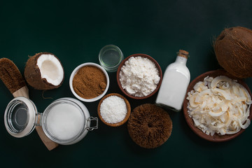 variety of products made from coconut with copy space