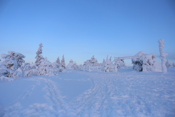 Beautiful landscape covered with snow in Lapland. Finland