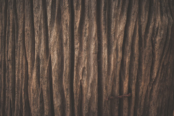 wood texture background