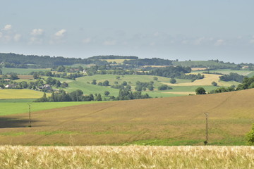 Fototapeta na wymiar Paysage typique composé de champs et de bois aux environs du bourg de Vendoire au Périgord Vert