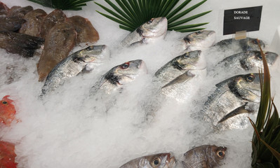 stand de poisson