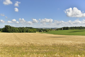 Obraz premium Cumulus de beau temps au dessus de la campagne du Périgord vert à Vendoire