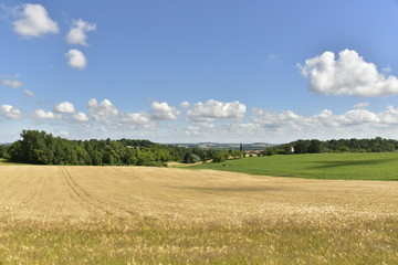 Obraz premium Cumulus de beau temps au dessus de la campagne du Périgord vert à Vendoire