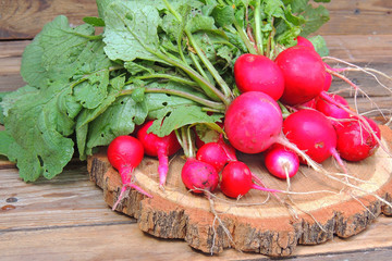 freshly picked radish