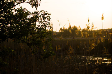 Sunset  © Daniel