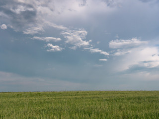 beautiful white clouds in the sky float above the field