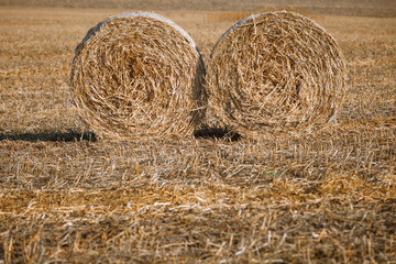 Hay bail harvesting in wonderful autumn farmers field landscape with hay stacks