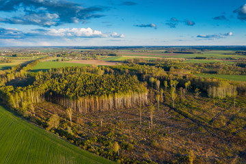 Fototapeta na wymiar Spring evening in countryside of Latvia.