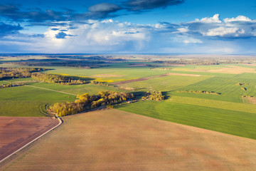 Spring evening in countryside of Latvia.