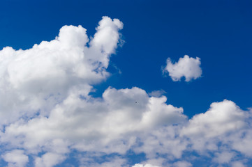 White clouds float on the blue sky