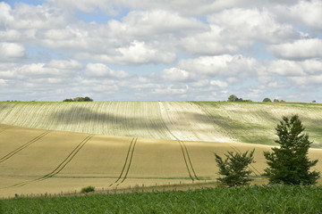 Ombres et formes des cumulus sur les collines cultivées à Vendoire au Périgord Vert