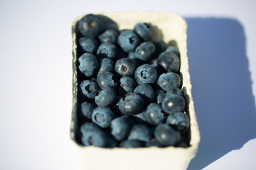 Blueberries in a cup, white background