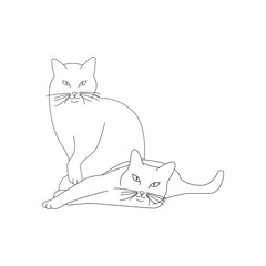 Vector illustration of a stylish cat.