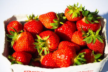 Strawberries in a cup, white background