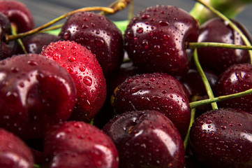 Close up, macro. Large ripe berries cherries, wet from water.