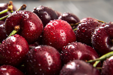 Close up, macro. Ripe maroon cherries are recently washed, dotted with small drops of water.