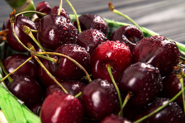 Top view, flat lay. Close up, macro. Ripe maroon cherries in a green wicker basket. Juicy berries are recently washed.