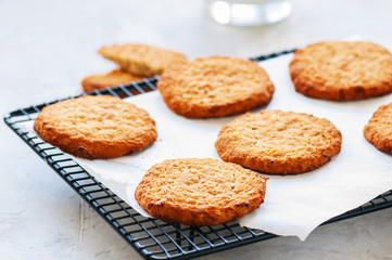 American traditional old fashioned oatmeal cookies on a wire rack .