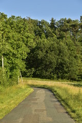 Route de campagne vers un tunnel de verdure près du Bourg de Champagne au Périgord Vert