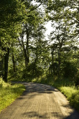 Fototapeta na wymiar Route secondaire de campagne traversant un bois en fin de journée au Puy de Versac au Périgord Vert